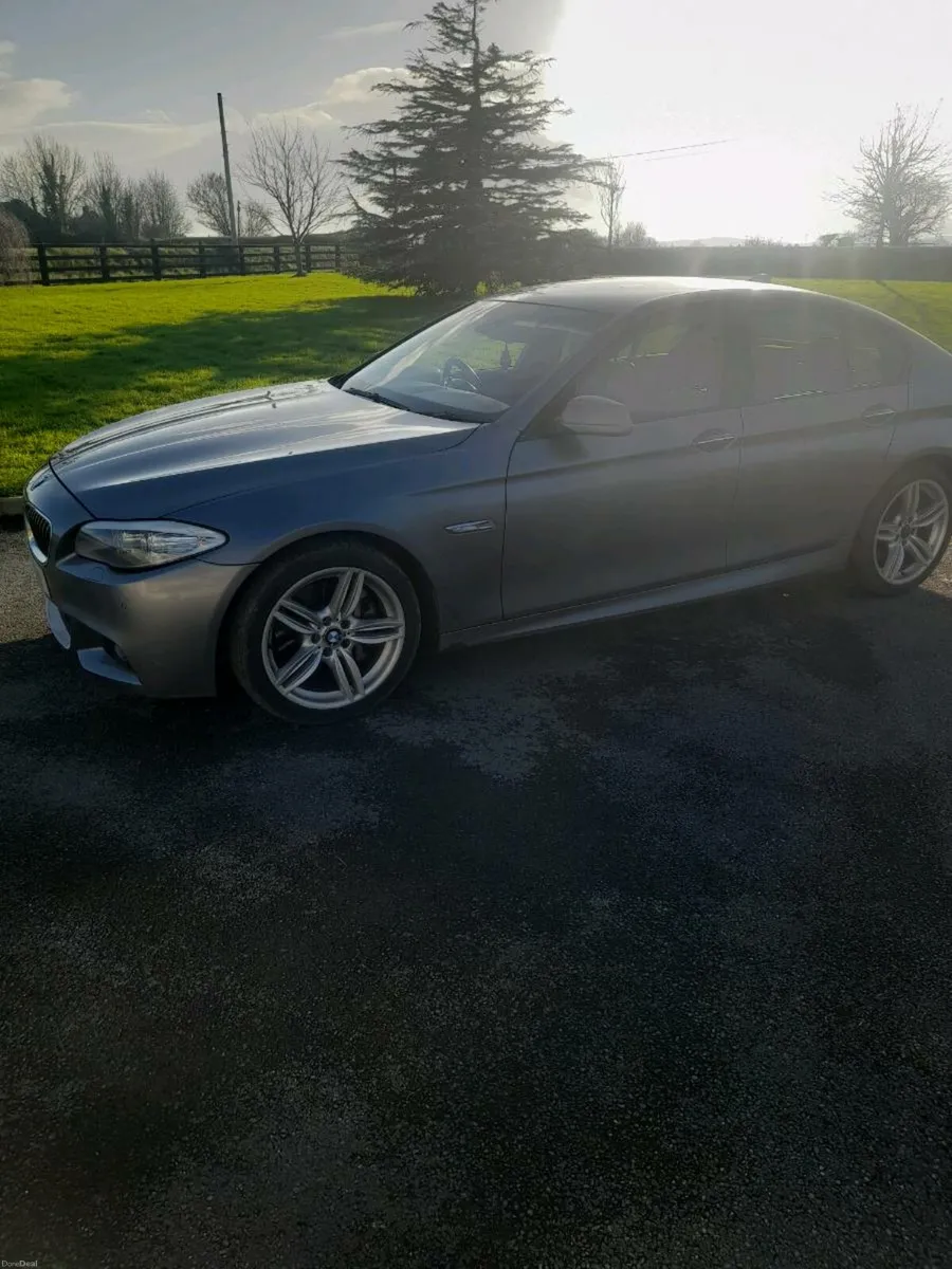 BMW 530 d - Image 2