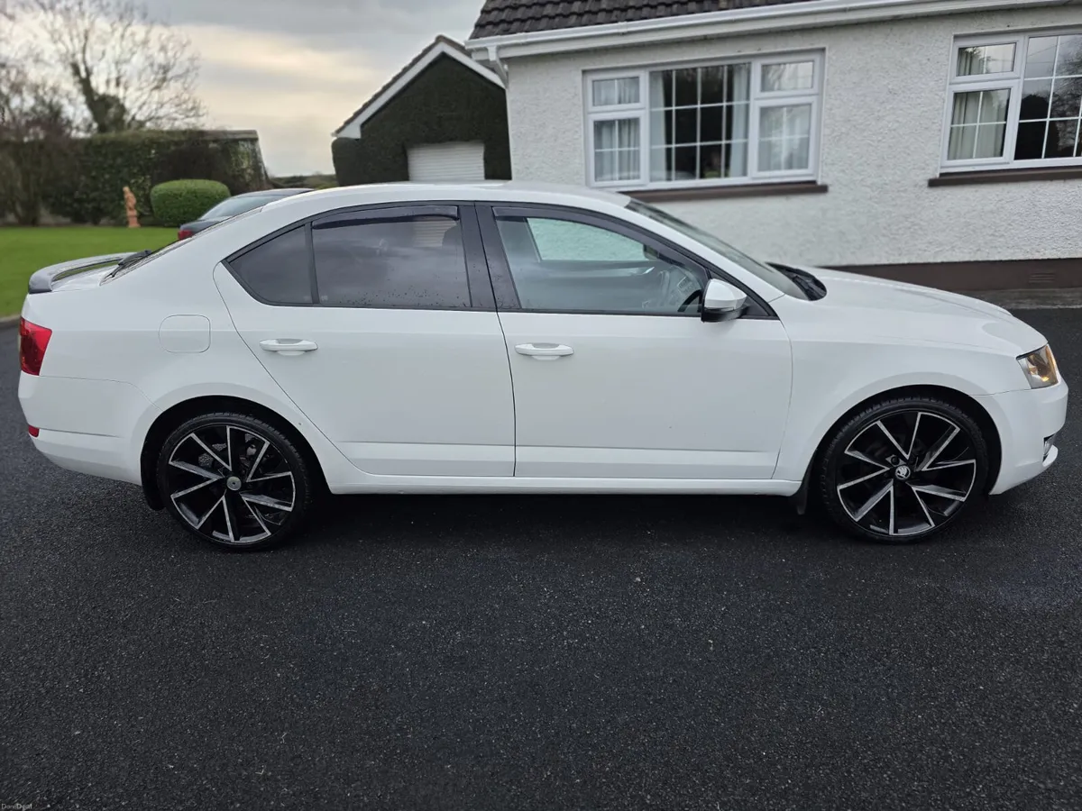 SKODA OCTAVIA 1.6 TDI AMBITION - Image 3