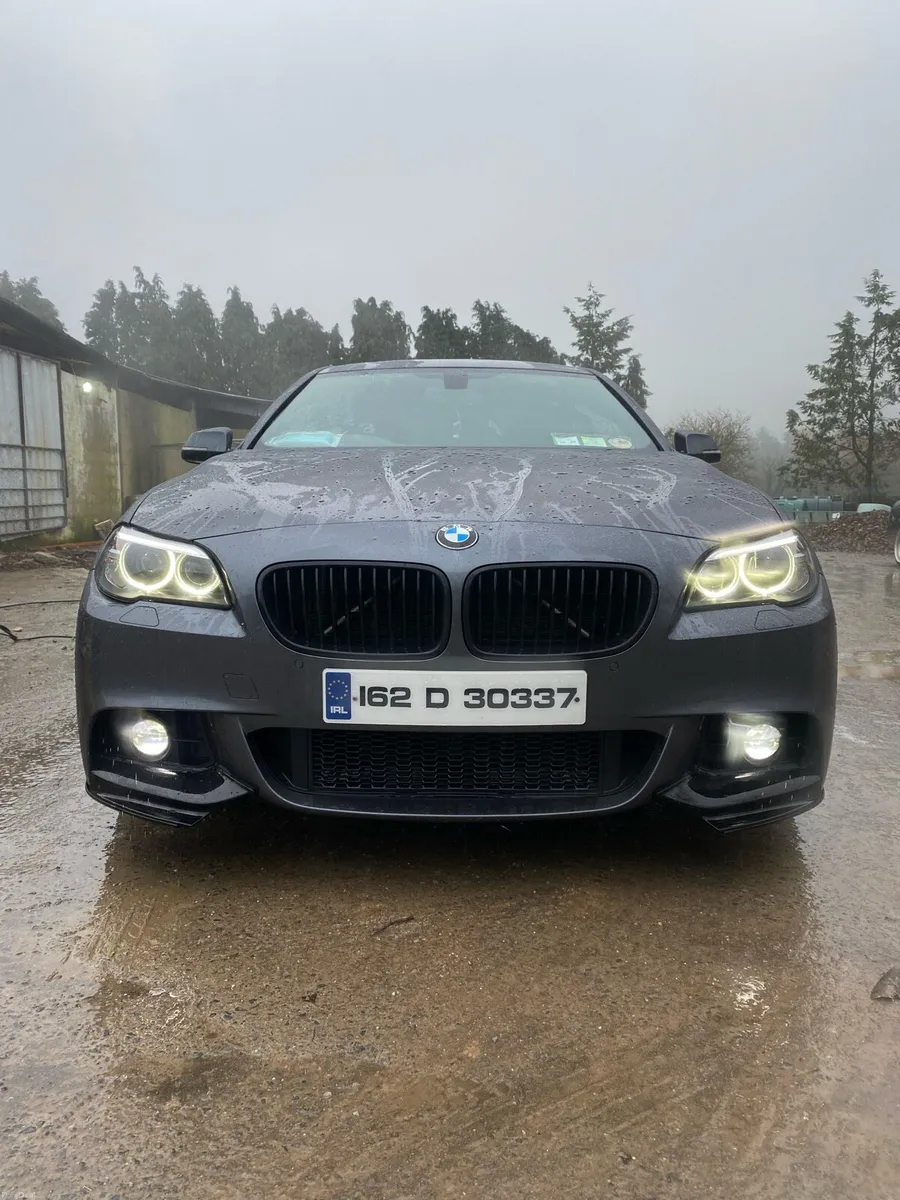 2016 BMW F10 520d - Image 2