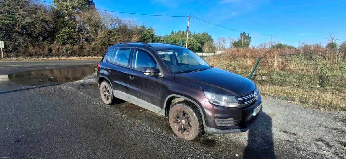 132 tiguan - Image 1