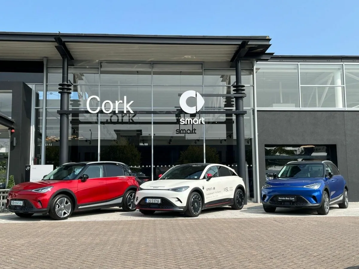 Smart #1 Pro + (420km Range) - Image 4