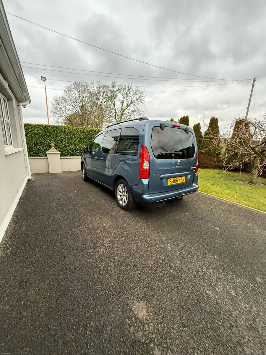 2016 Peugeot Teepe - Image 1