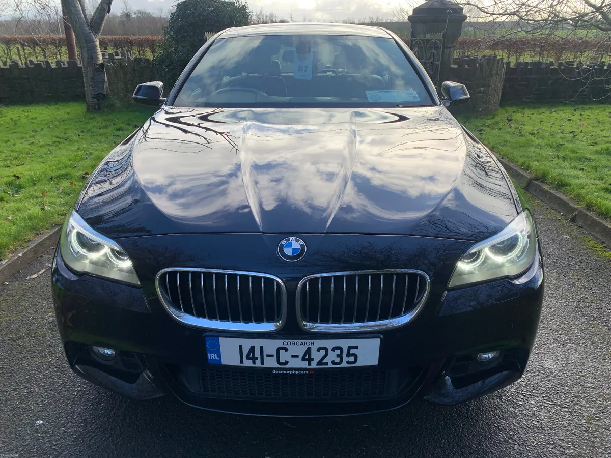BMW 5-Series 2014 10995520d M SPORT - Image 3