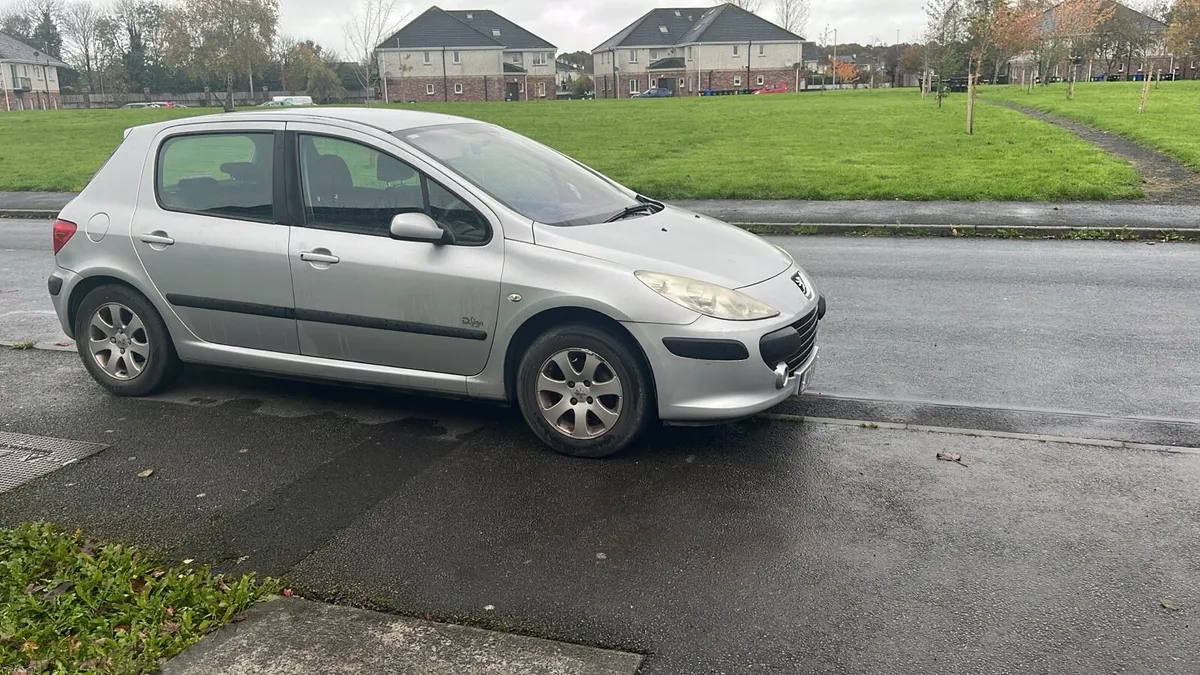 Peugeot 307, 1.4 petrol - Image 2