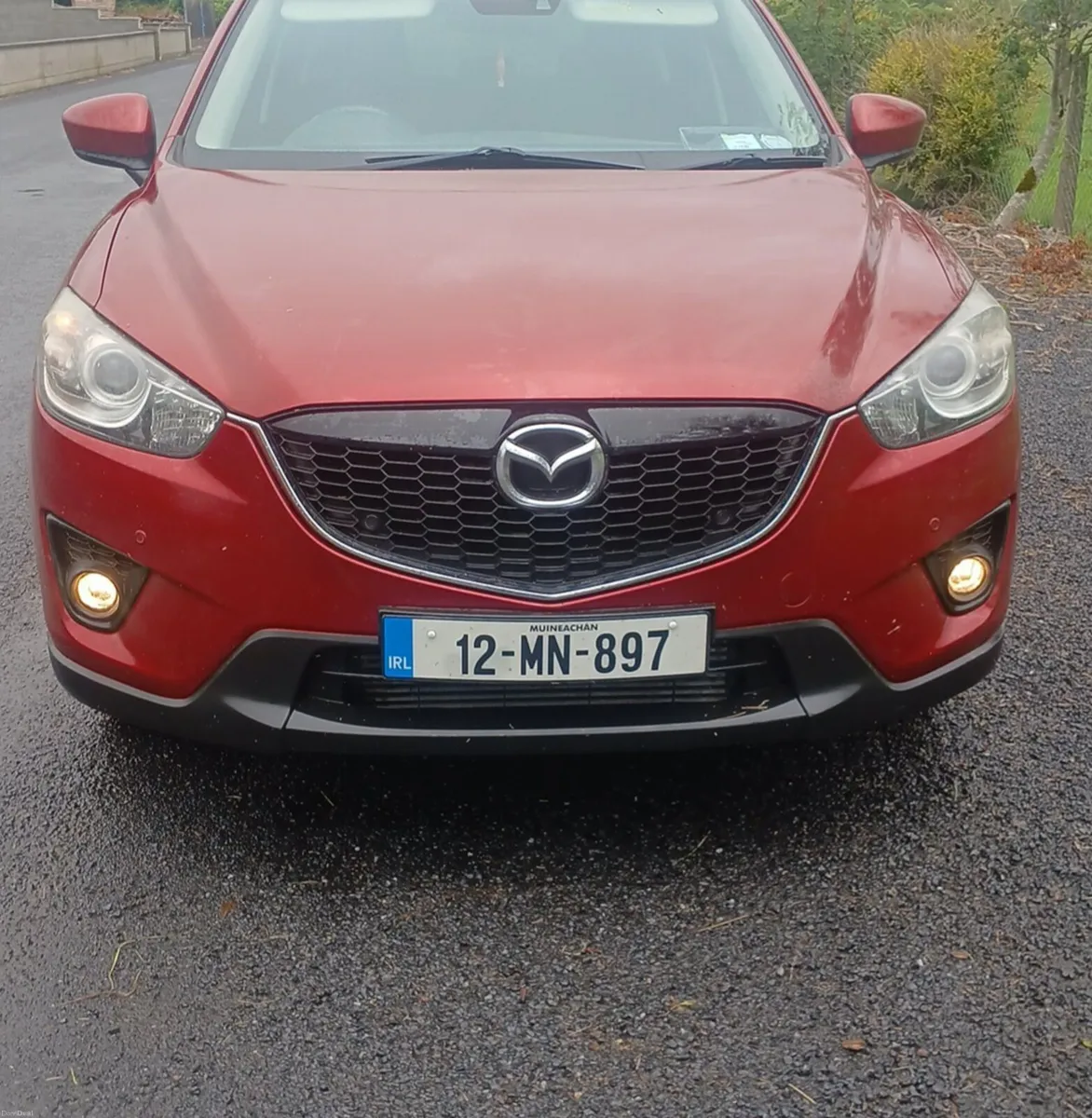 All types all years all models - Image 3