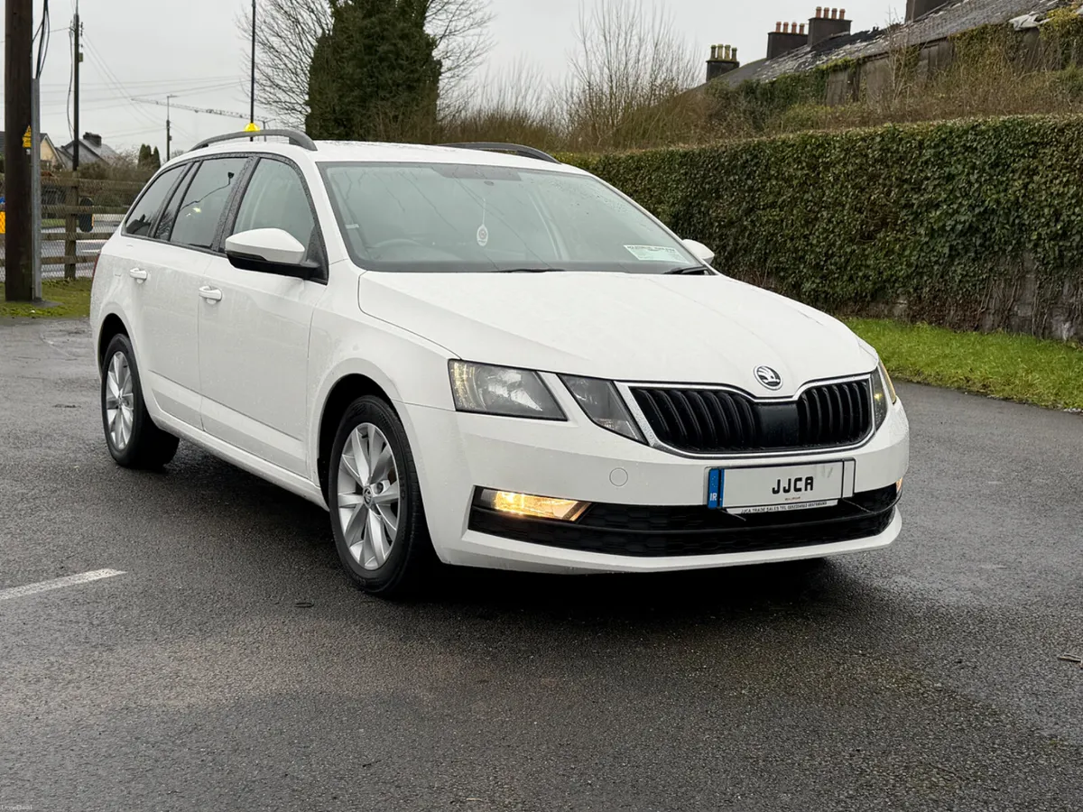ABSOLUTELY IMMACULATE 2019 (192) OCTAVIA - Image 1