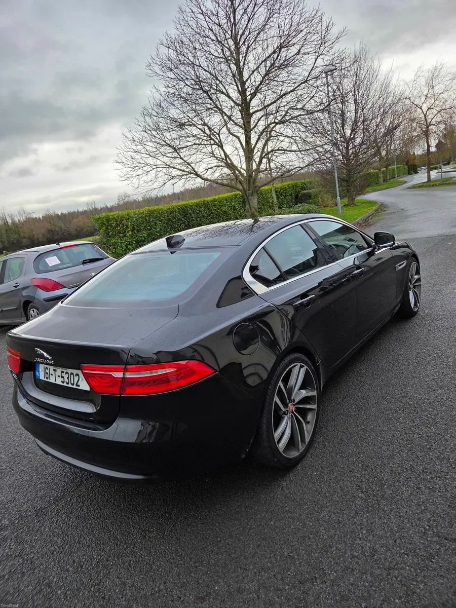 Jaguar XE 2016 - Image 2