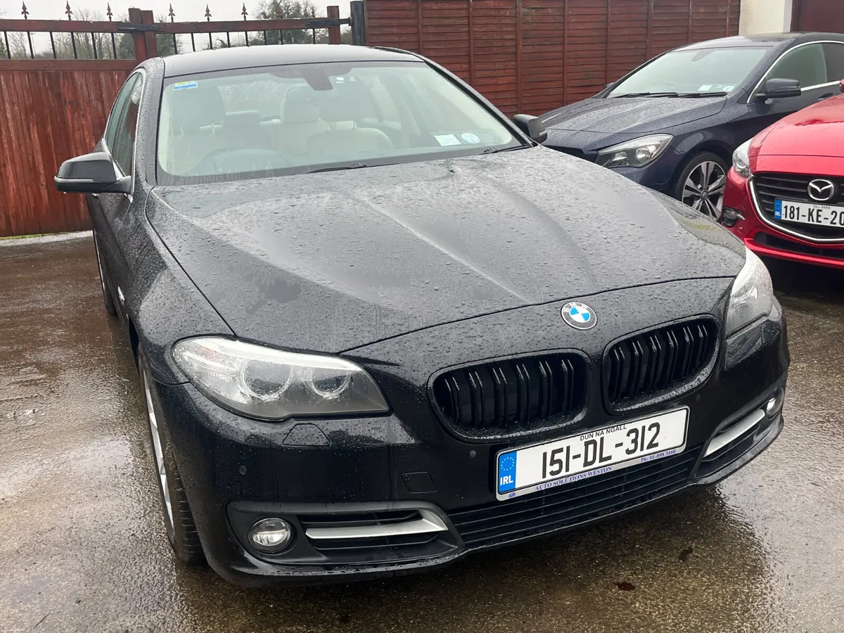 BMW 520D SE - Image 2