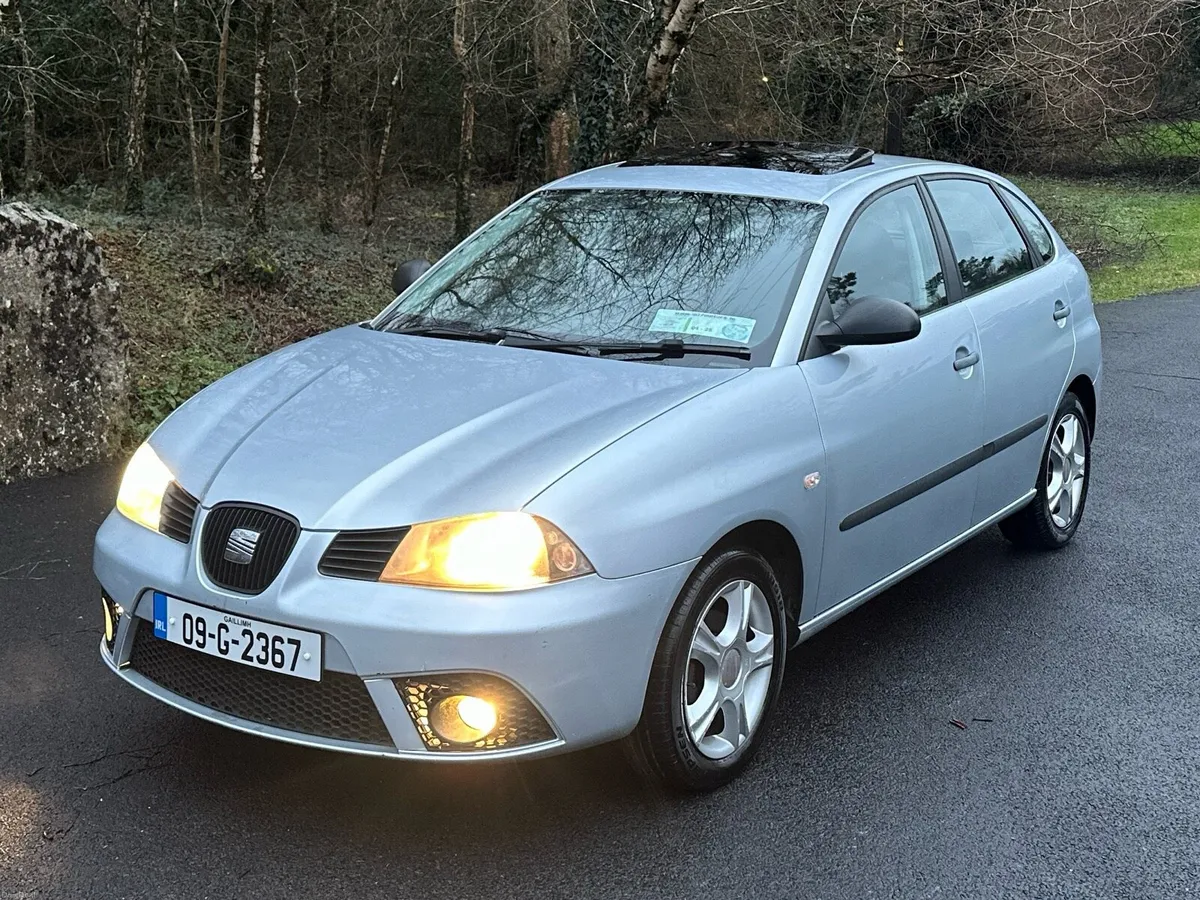 Seat Ibiza 2009 - Image 1