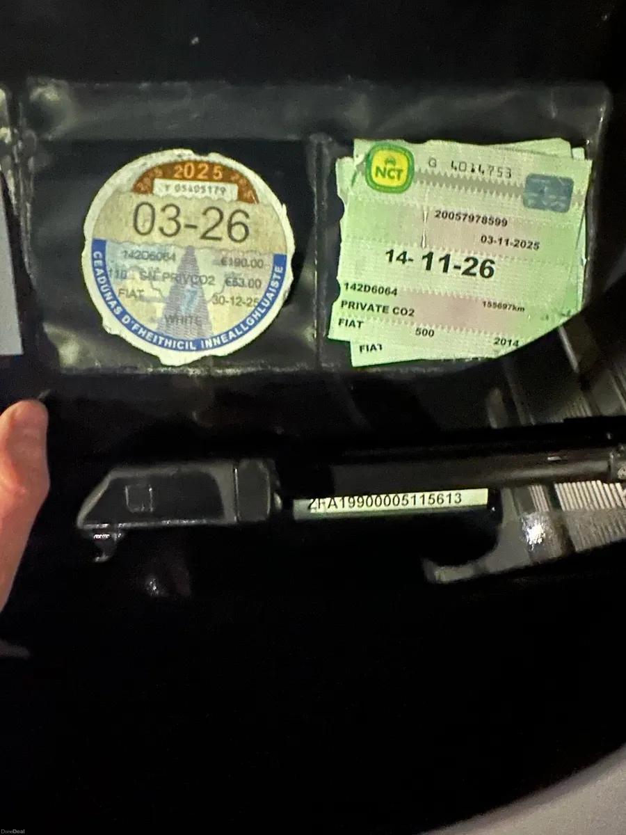 Fiat 500L 2014 | 1.3 MultiJet Diesel | Manual - Image 2