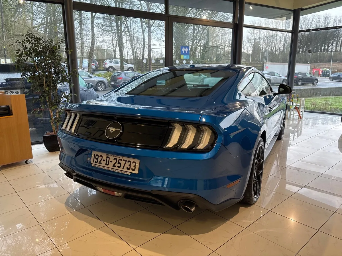 Ford Other 2019 - Image 2