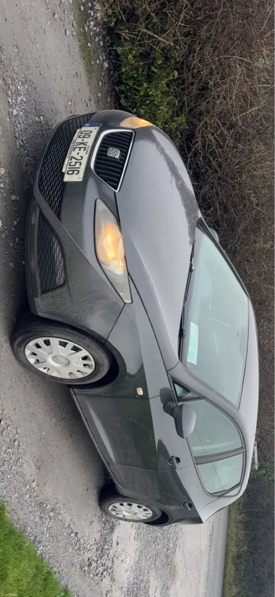 Seat. Ibiza - Image 1