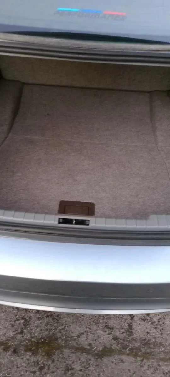 2009 BMW 318D - Image 3