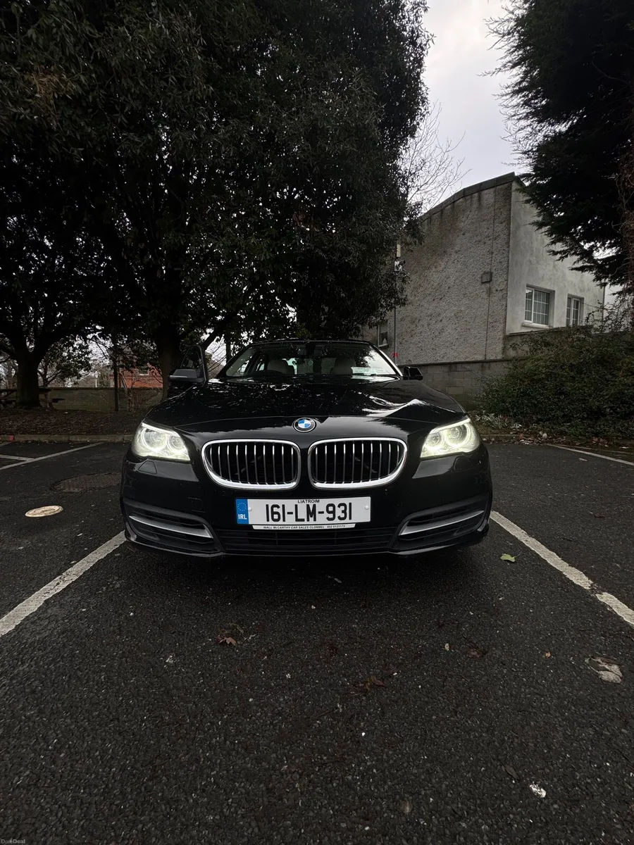 2016 BMW 518d (520d) F10 - Image 3