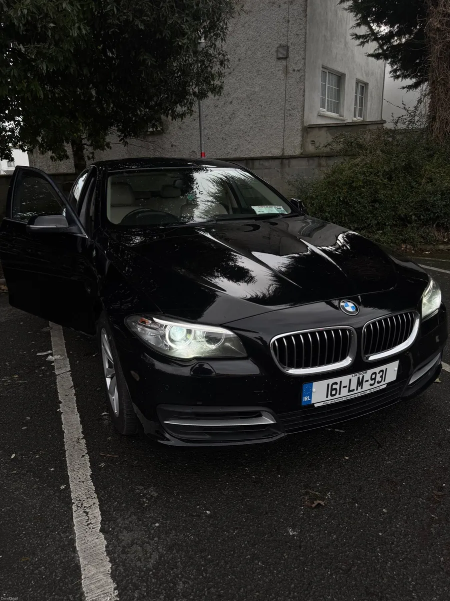 2016 BMW 518d (520d) F10 - Image 2