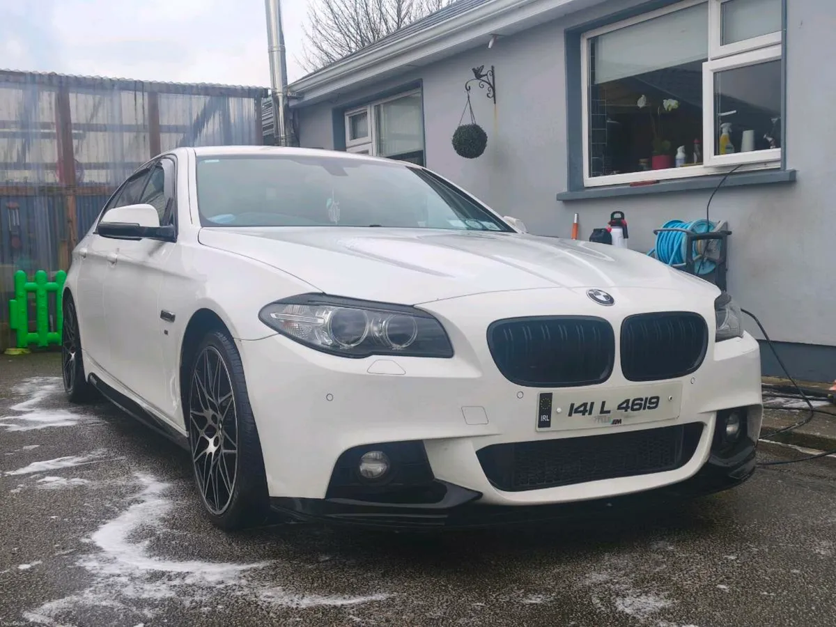 BMW 520 - Image 4