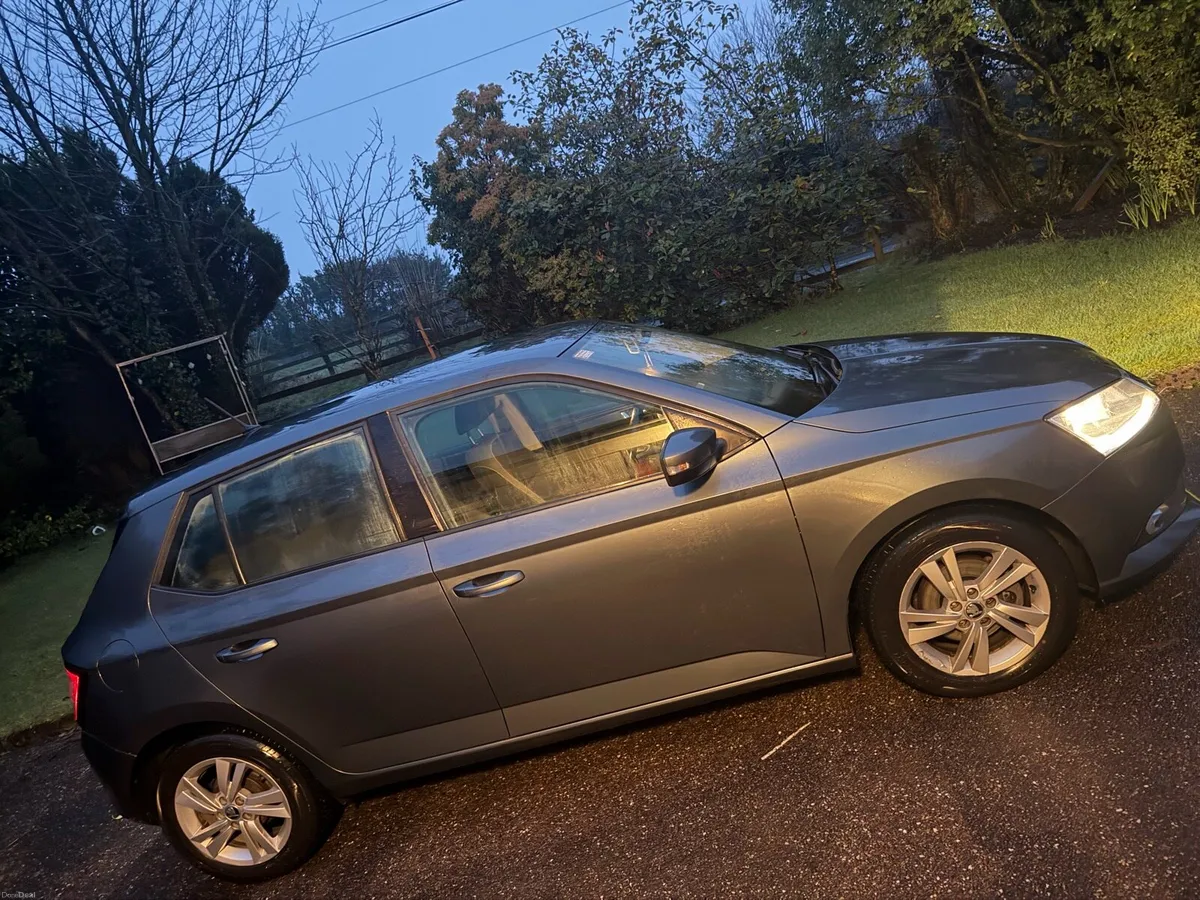 Skoda Fabia 2021 Manual - Image 4