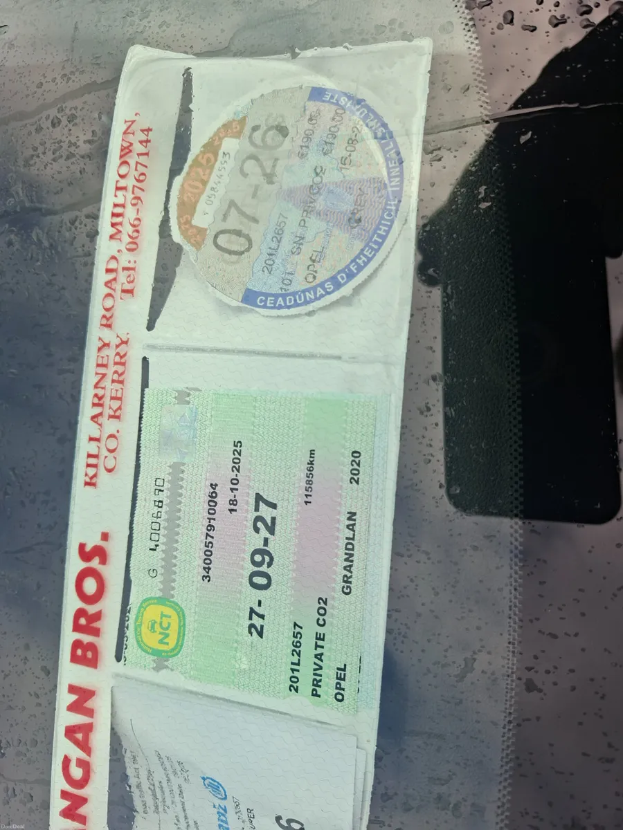 Opel Grandland X 2020 - Image 3