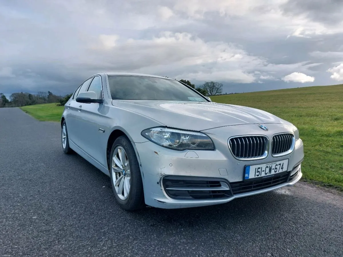 Bmw 520d EfficientDynamics - Image 2