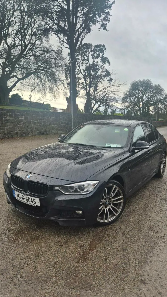 BMW 318D M SPORT - Image 2