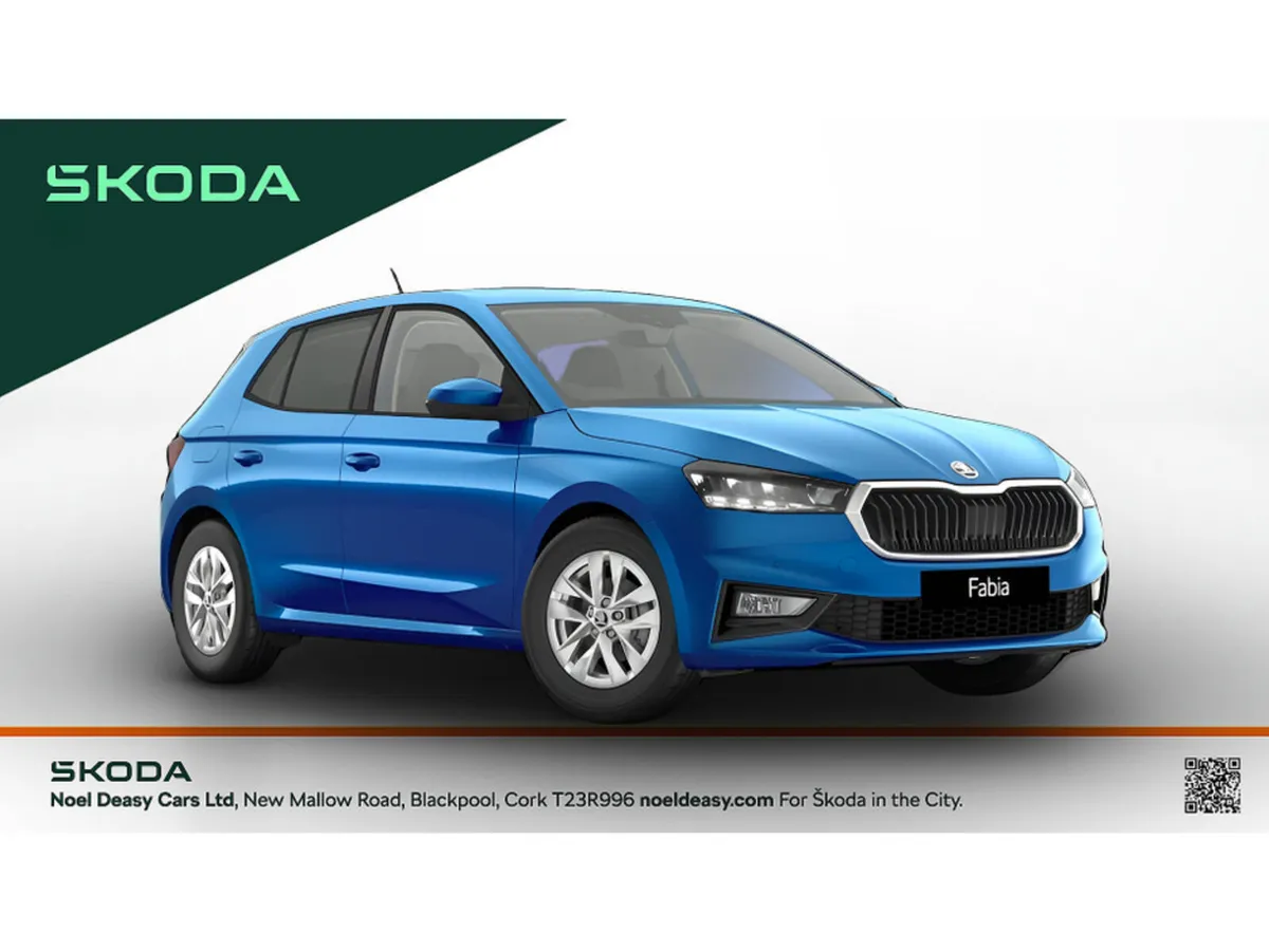 Skoda Fabia Selection - Image 1