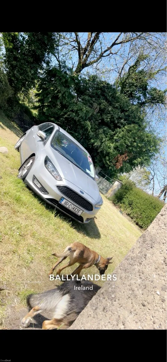 Ford focus - Image 4