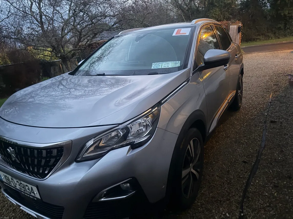 Peugeot 3008 2019 - Image 2