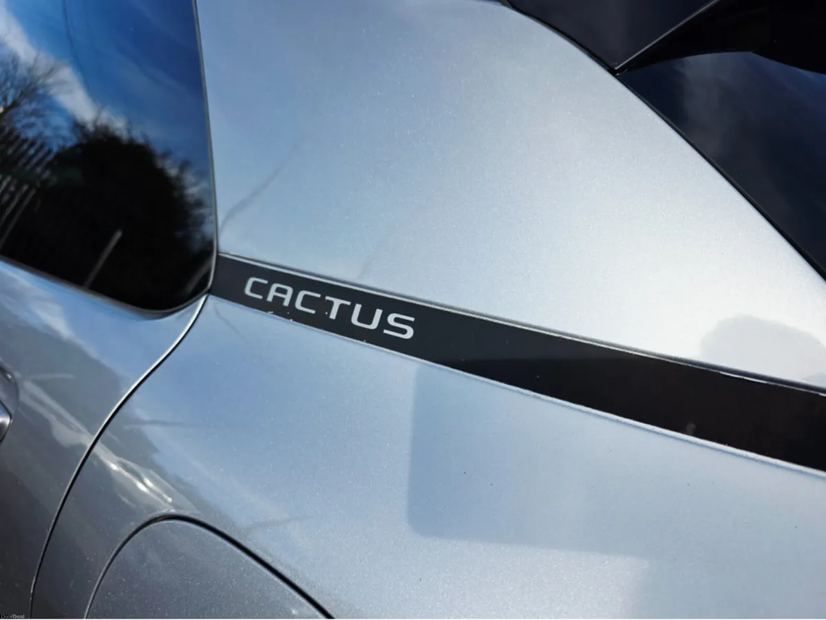 Citroen C4 Cactus FEEL PURETECH 110 S& S&S 4DR - Image 4