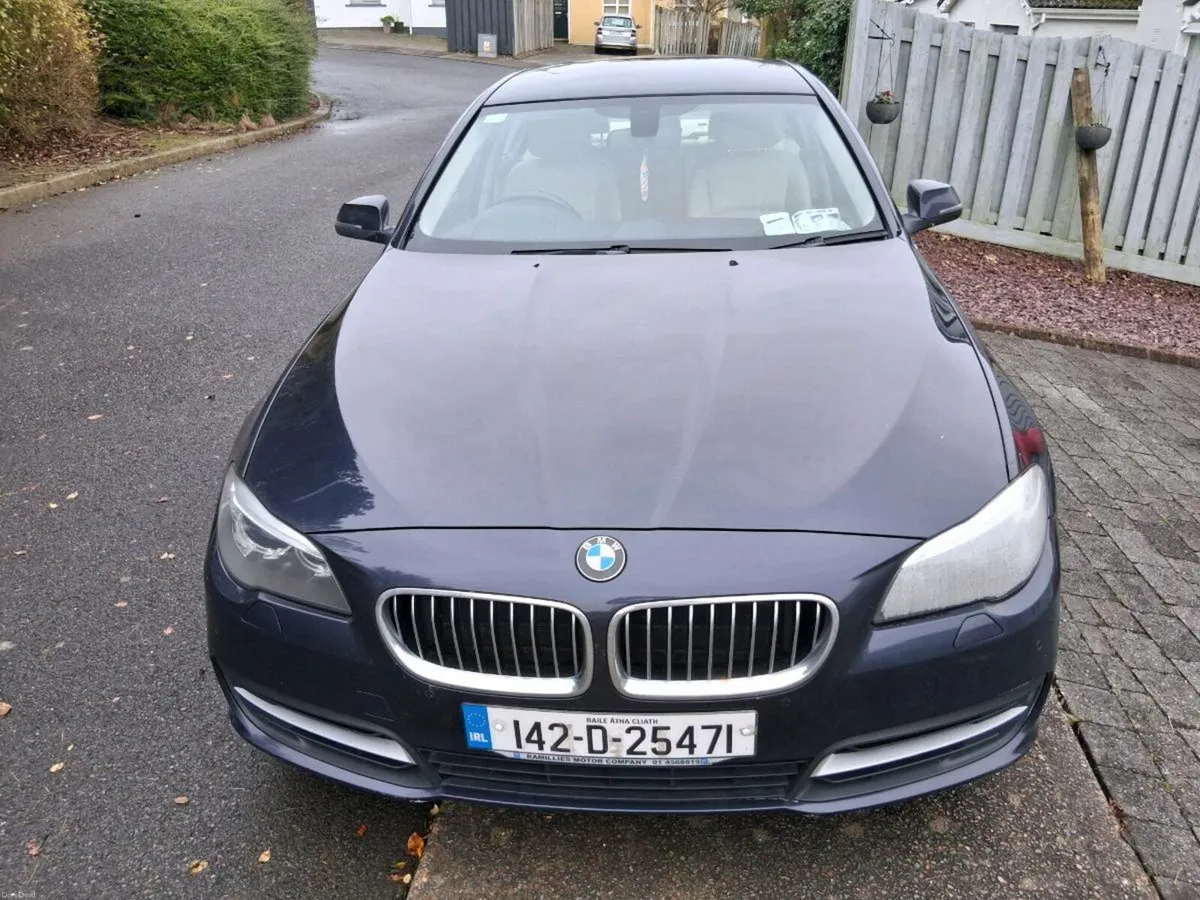 BMW 520 SE - Image 2