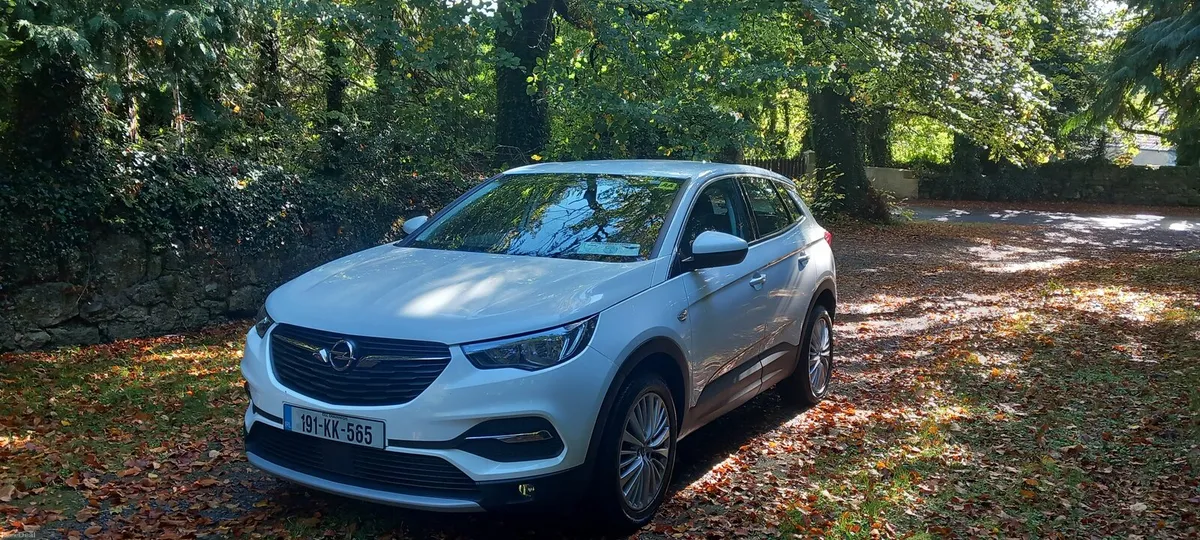 Opel Grandland X 2019 - Image 1