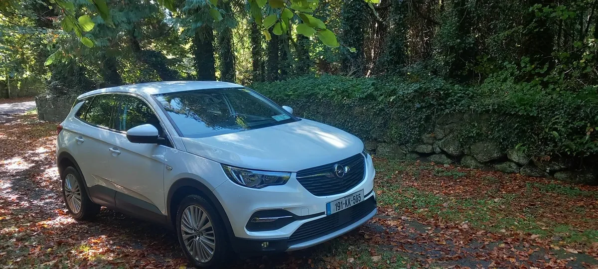Opel Grandland X 2019 - Image 4