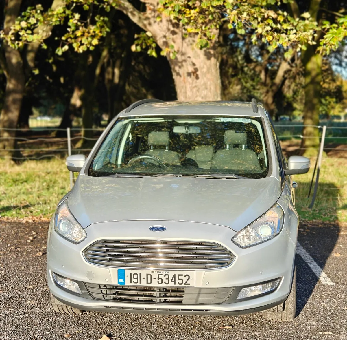 Ford Galaxy - Image 1