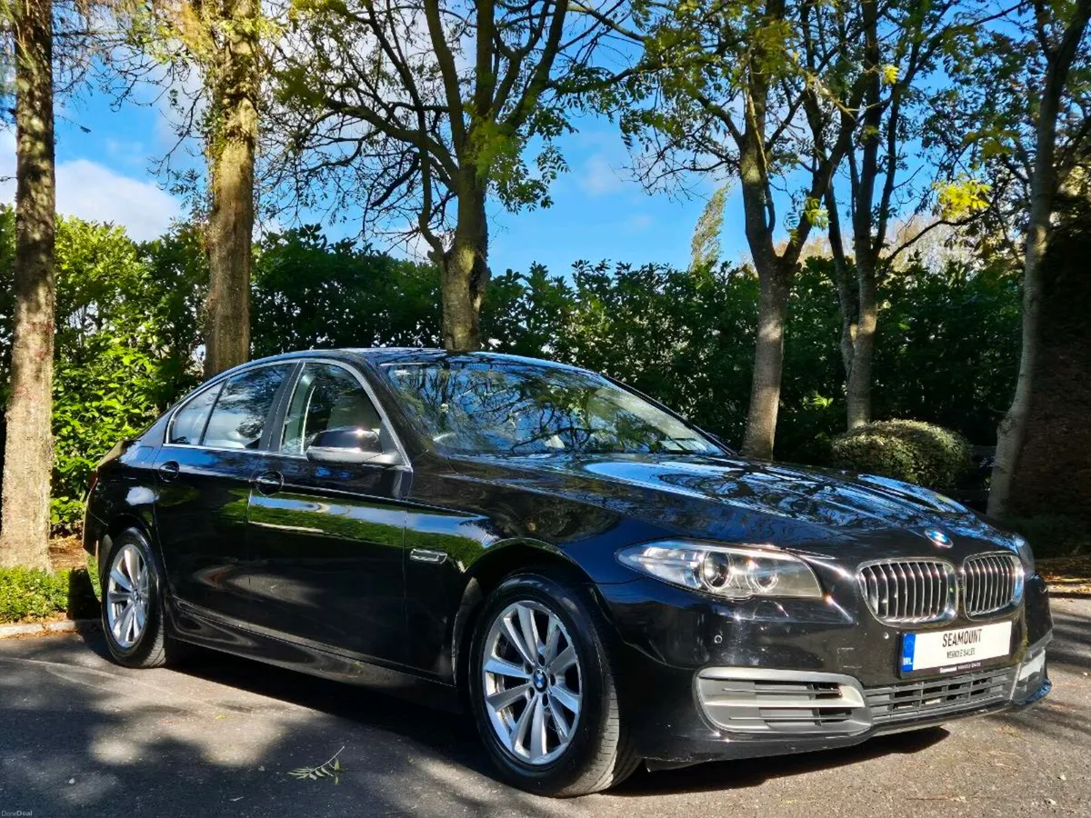 2015 BMW 520d SE Auto  - 88,235 Miles - Image 3