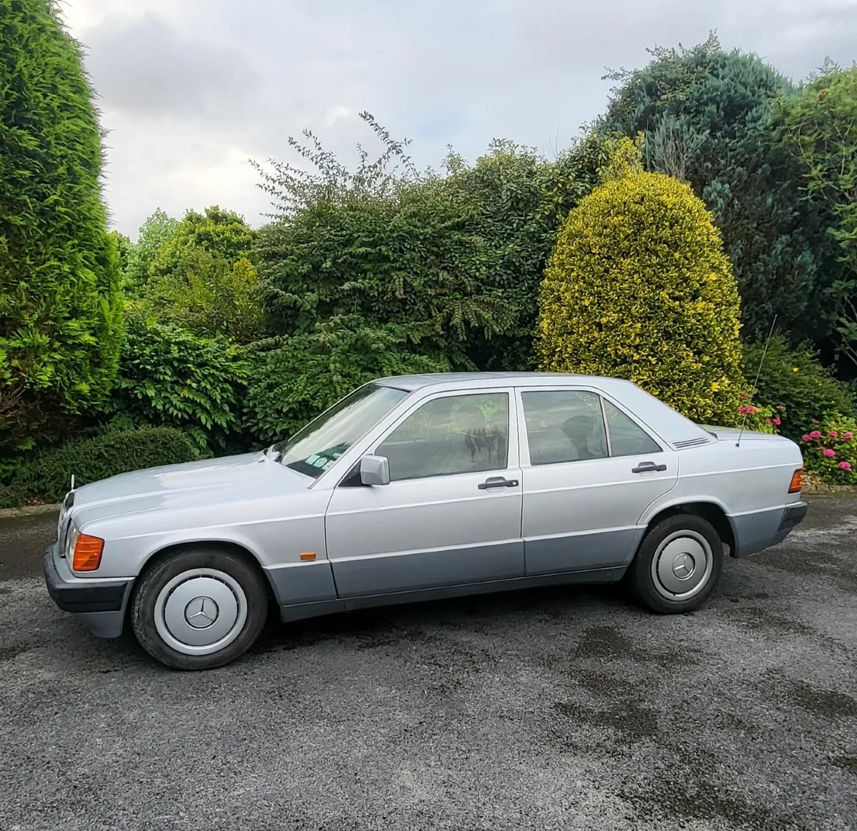 Other Other 1993 - Image 1