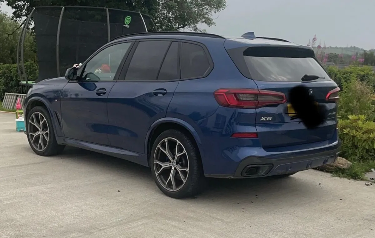 BMW X5 2019 / 2 owners - Image 1