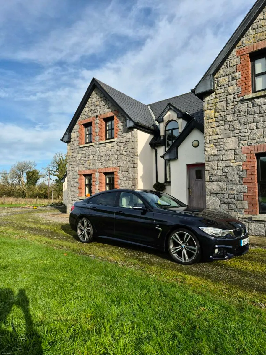 BMW 4 Series Gran Coupe 420d M Sport (2015) - Image 1