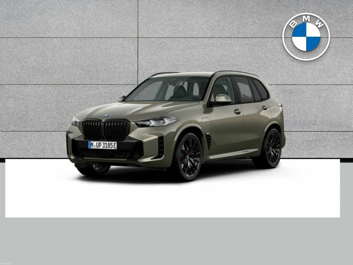 BMW X5 Sport - Image 1
