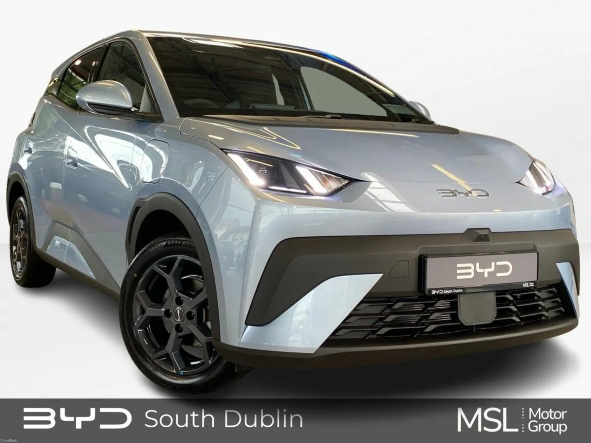 BYD DOLPHIN SURF **ORDER NOW FOR 261**COMFORT 43.2 - Image 3