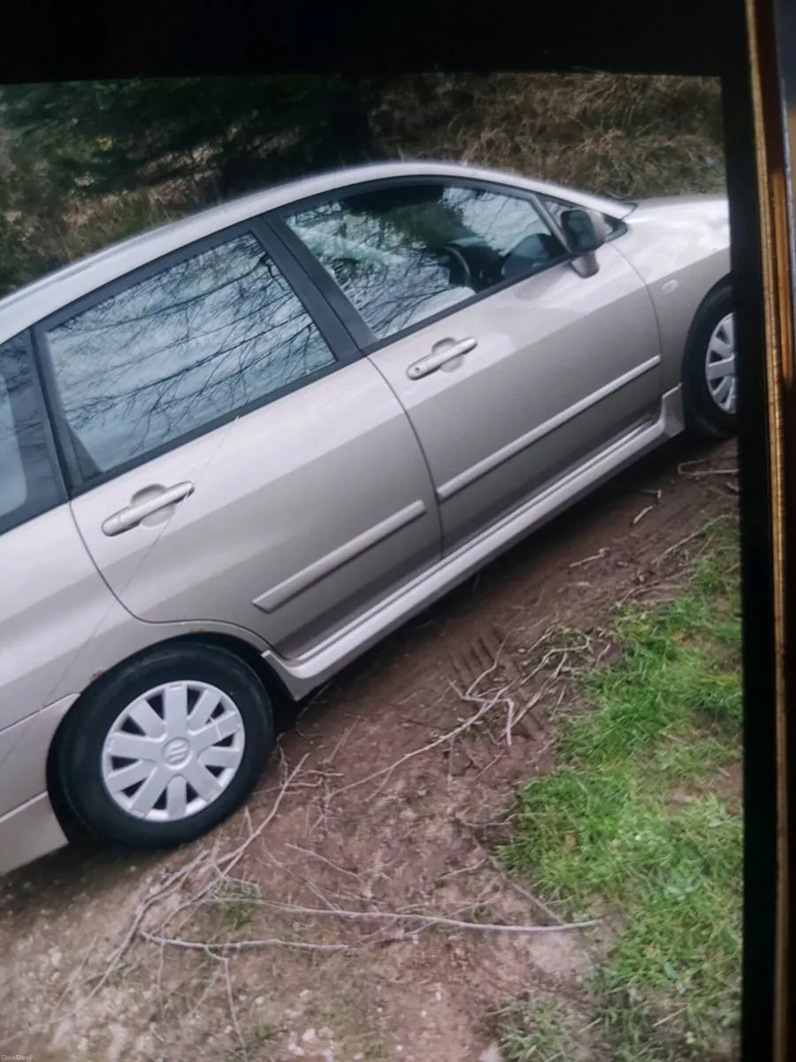 Suzuki liana - Image 3