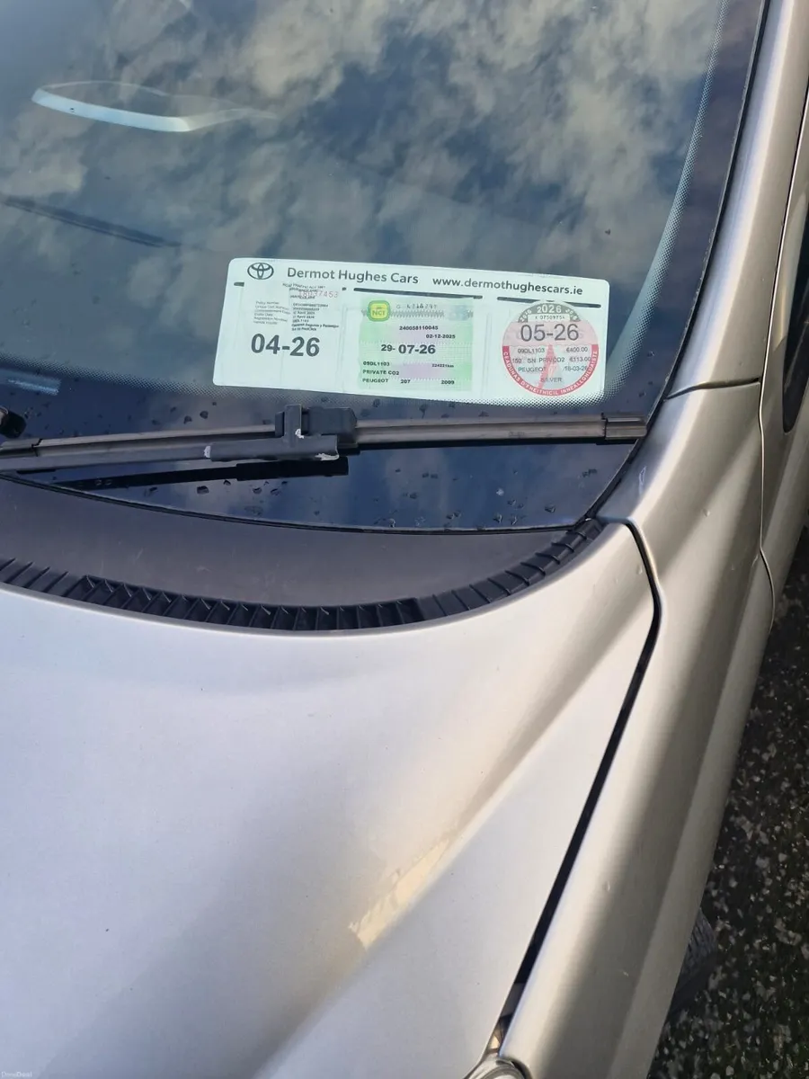 Peugeot 207 - Image 2