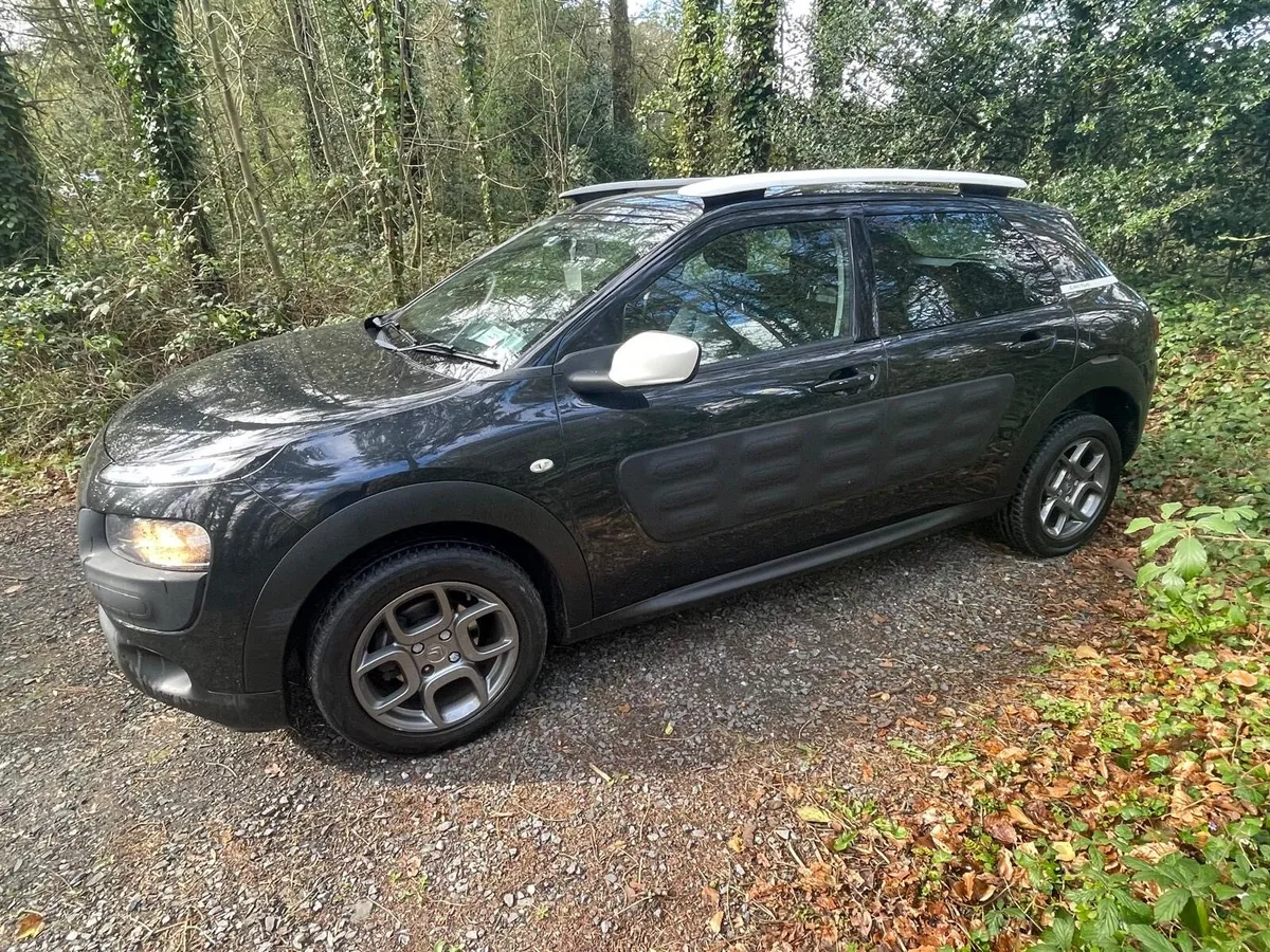 2015 Automatic Citreon C4 Cactus - Image 2