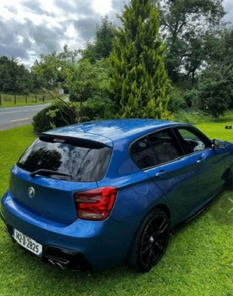 BMW 1 series f20D - Image 2