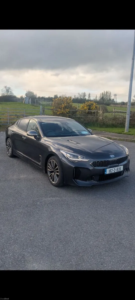 Kia Stinger GT Line 2.2, New NCT 03/28 - Image 2