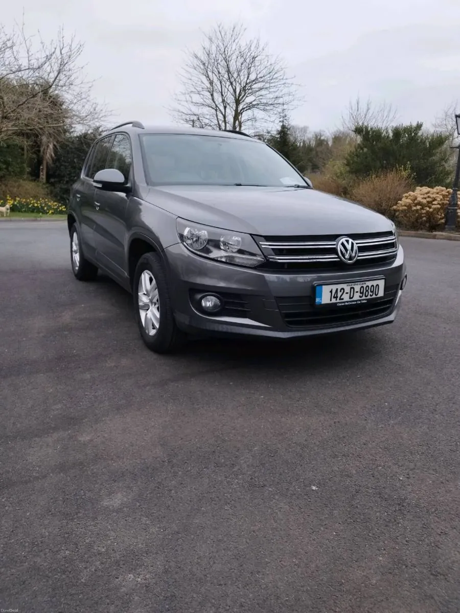 Tiguan - Image 1