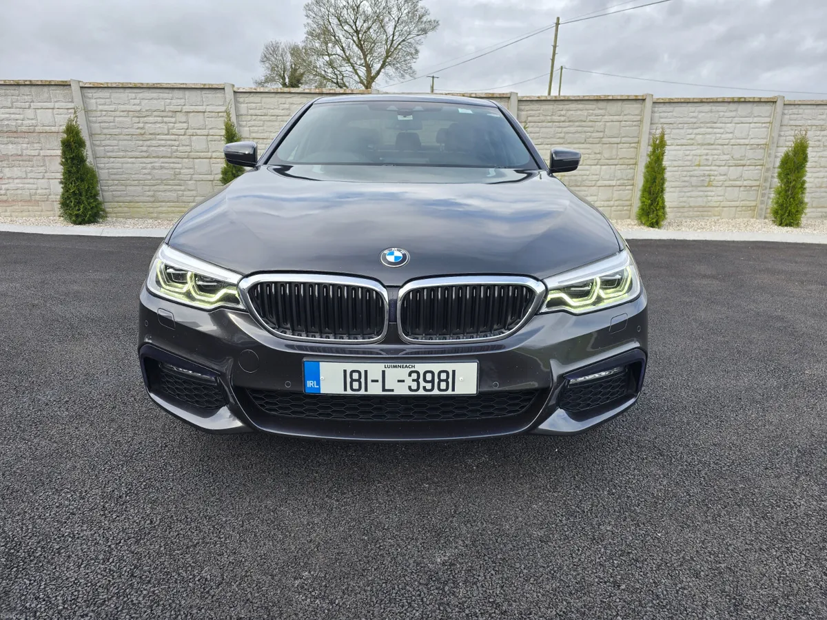 181 530D X Drive 1 Owner Full service history - Image 2