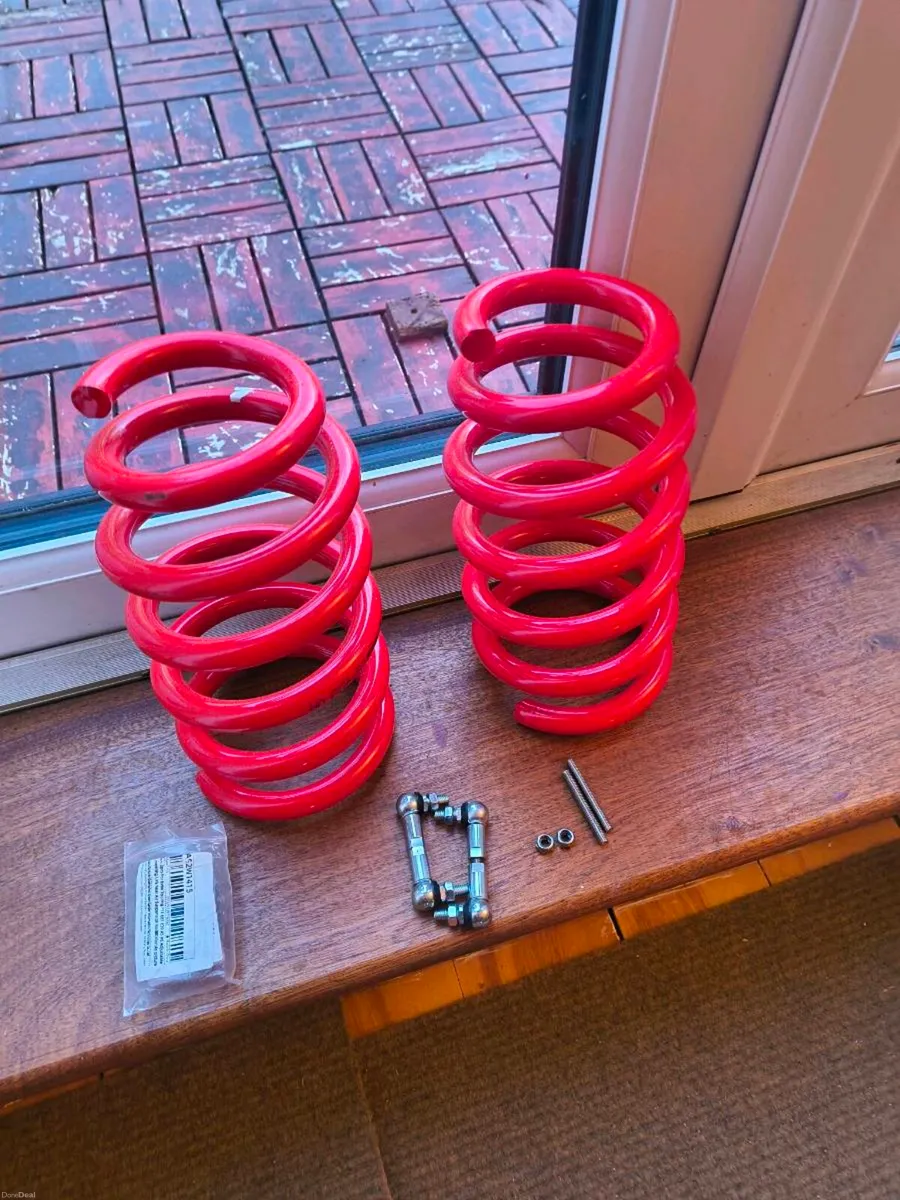 X5 lowering springs - Image 1