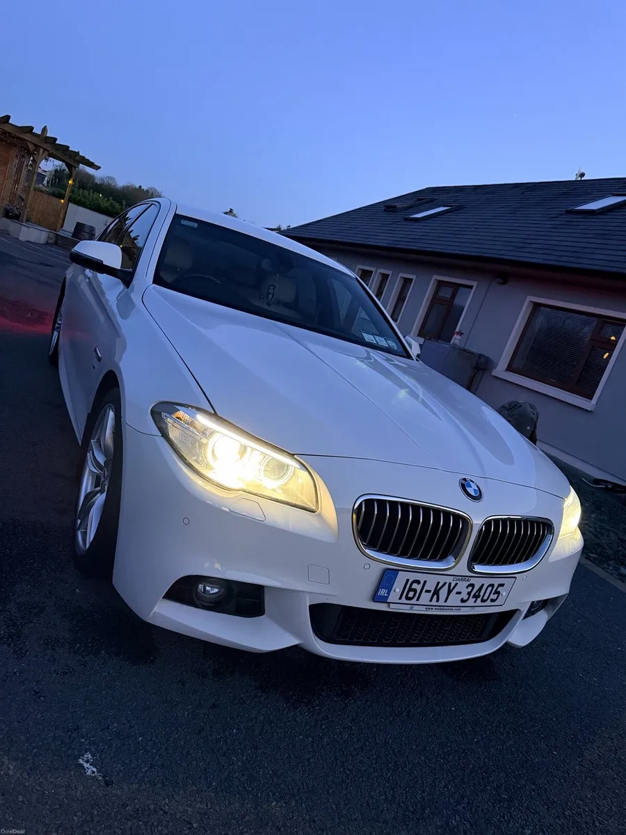 BMW 520d - Image 1