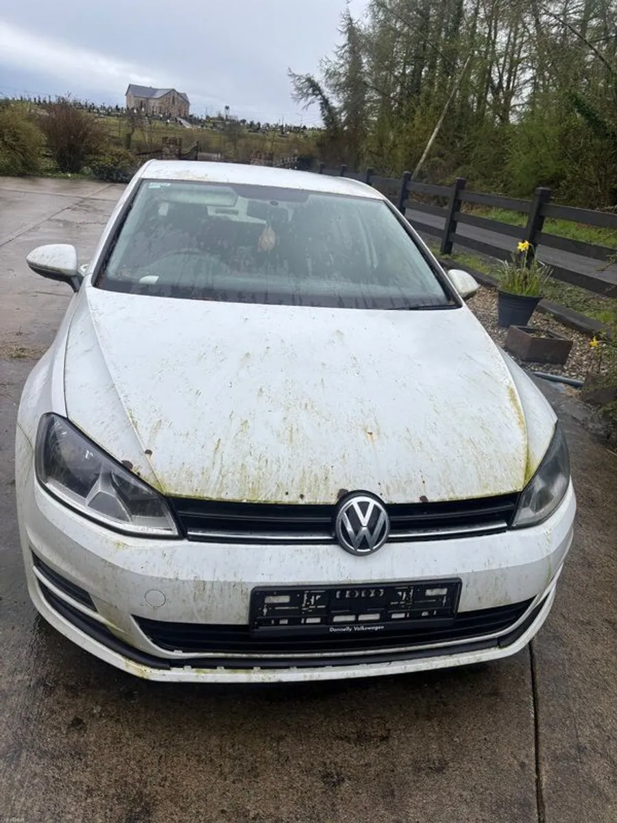 2013 Volkswagen Golf - Image 1