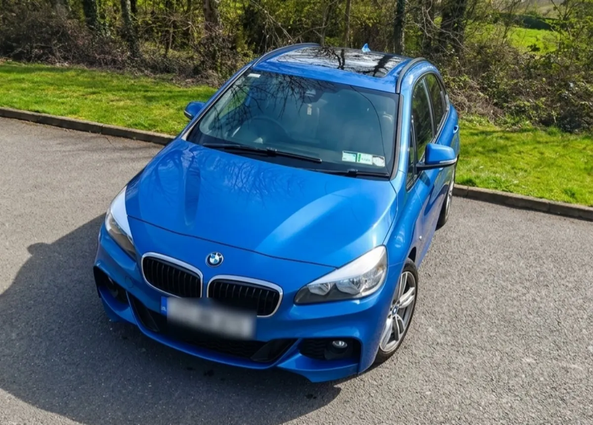 BMW 225 F45 XE I PHEV M SPORT 5DR AUTO - Image 1