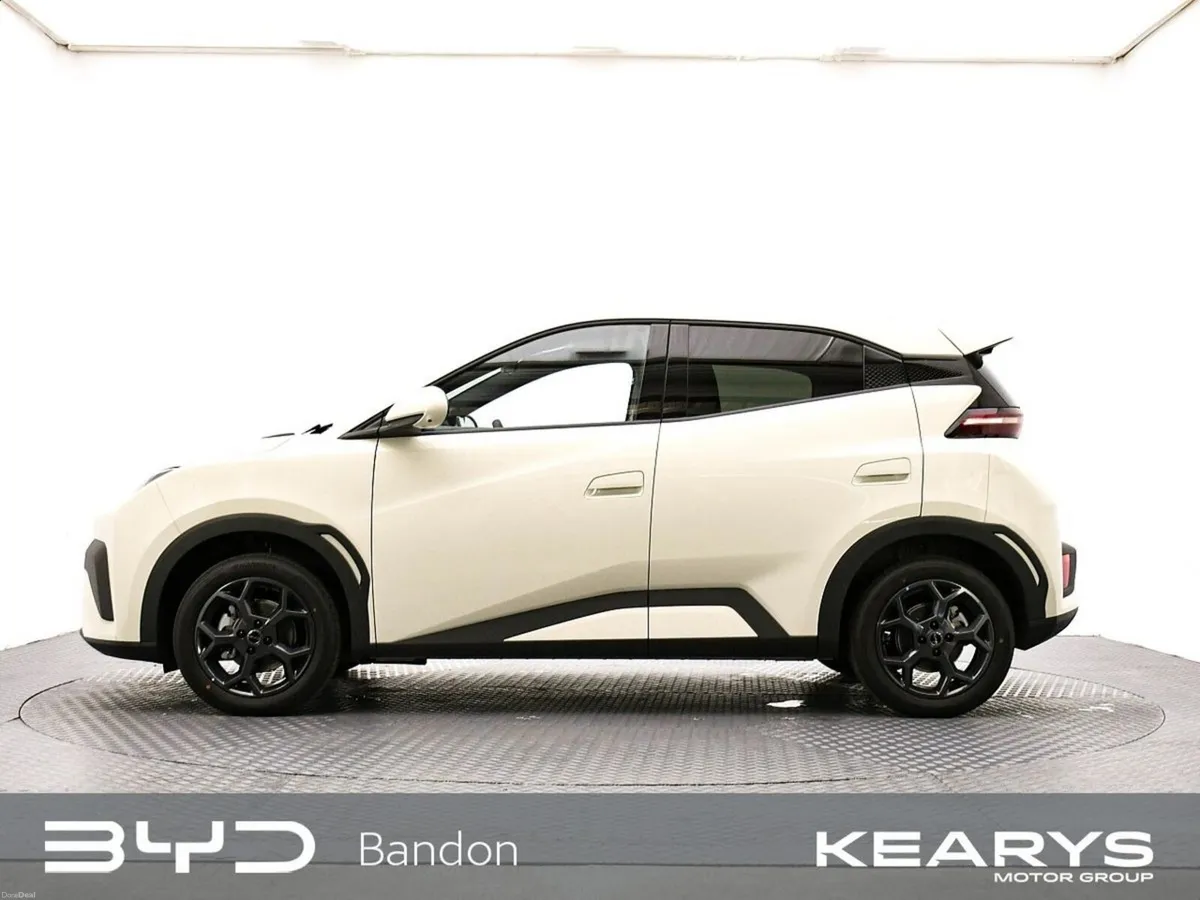 BYD DOLPHIN SURF Comfort Order Today! - Image 4